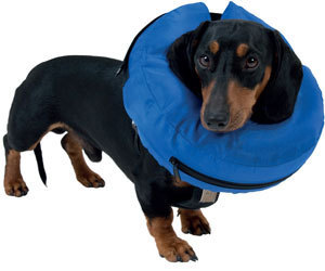 Inflatable Dog Collars Australia Inflatable Dog Collars Australia