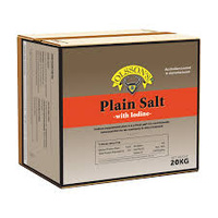 Olsson Plain Iodised Salt Block 20
