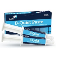 KER B-Quiet Paste 30gm Twin Pack