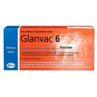Glanvac 6 Vaccine - 100ml