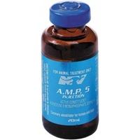 NV Amp-5 Injection 20ml