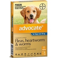 Advocate For Dogs Over 25kg Blue Single-Pack
