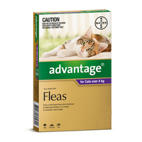 Advantage For Cats Over 4kg Purple 4pack