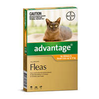 Advantage For Cats & Kittens Up To 4kg 4-Pack