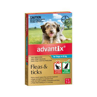 Advantix Medium Dogs 4-10kg Aqua 3pack