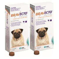 Bravecto Small Dog Orange 4.5-10kg 2 Chews