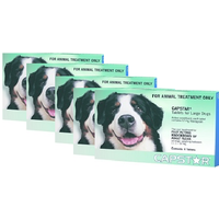 Capstar For Dogs Large 11.1-57kg 6 Tabs X 5 Packs