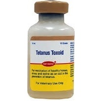 Equivac Tetanus Toxoid 10ml (Yellow Stripe Box ) (out of stock)