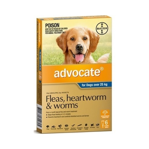 Advocate For Dogs Over 25kg X/Large Dark Blue