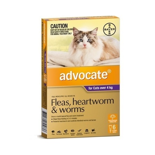 Advocate For Cats Over 4kg Purple
