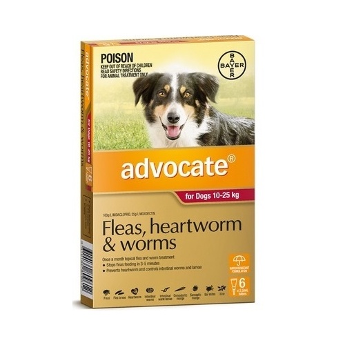 Advocate Large Dogs 10-25kg Red