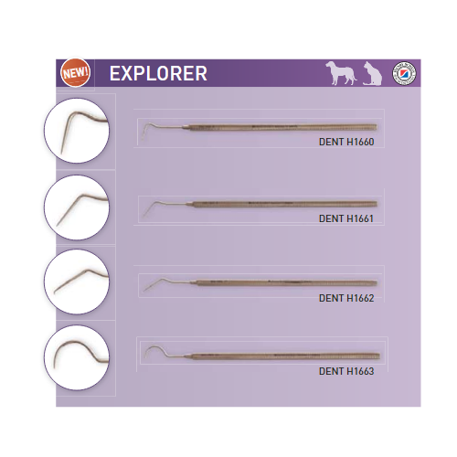 Henry Schein Dental Explorer