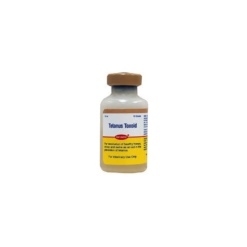 Equivac Tetanus Toxoid 10ml (Yellow Stripe Box ) (out of stock)