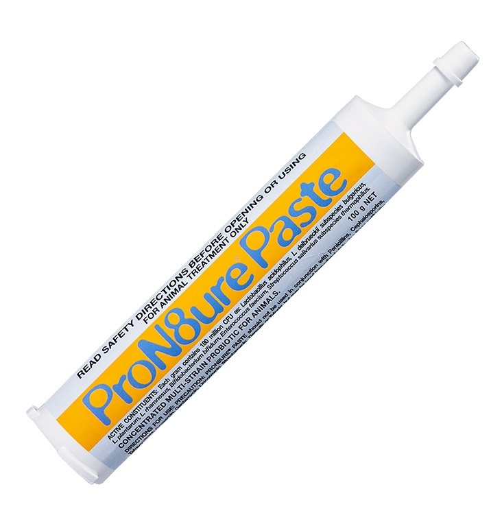 Protexin paste for best sale dogs