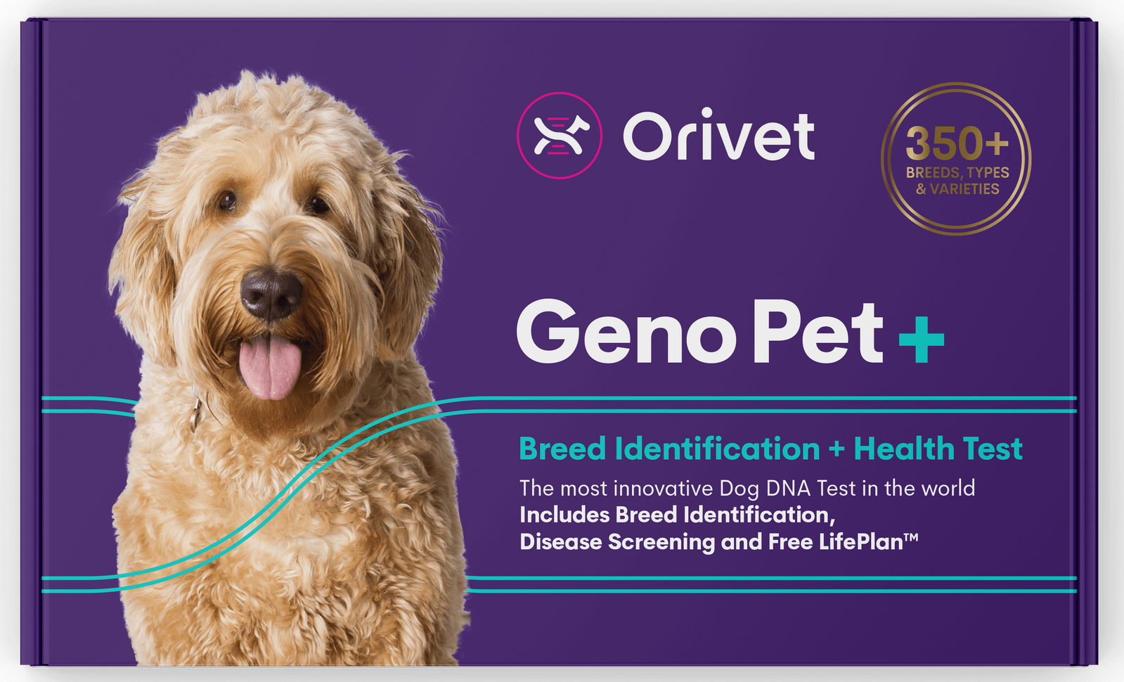Buy Orivet - Genopet PLUS - Complete DNA Testing for Dog Breed + Health  Screen + Life Plan