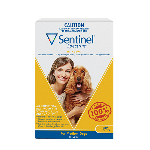 Sentinel Spectrum Chews Yellow For Medium Dogs 1122kg