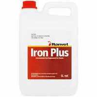Ranvet Iron Plus With Folic Acid 5Lt