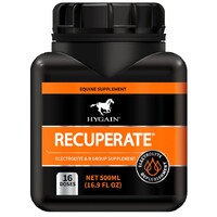 Hygain Recuperate Electrolyte & B Group Supplement for Horses 500ml