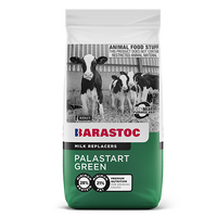 Barastoc Palastart Green 20kg