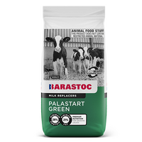 Barastoc Palastart Green 20kg