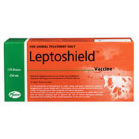 Leptoshield Vaccine 250ml