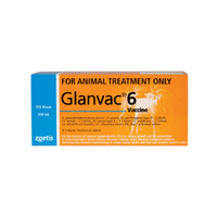 Glanvac 6 B12 Vaccine - 250ml