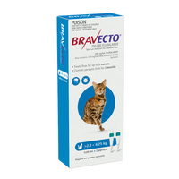 Bravecto Spot on For Medium Cats Blue 2.8-6.25kg 