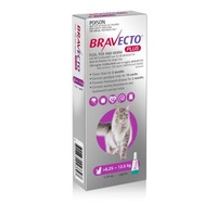 Bravecto Plus For Large Cats 6.25 - 12.5kg