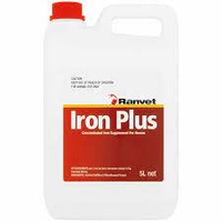 Ranvet Iron Plus With Folic Acid