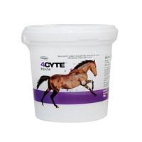 4CYTE Equine 700g Granules (OUT OF STOCK )