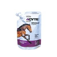 4CYTE Epiitalis Forte Gel Equine Joint Treatment 250ml 