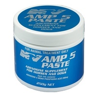 NV Amp-5 Paste 250gm