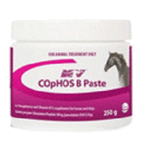 Cophos B Paste 250ml
