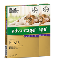 Advantage For Cats Over 4kg Purple 12 Pack