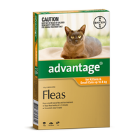 Advantage For Cats & Kittens Up To 4kg