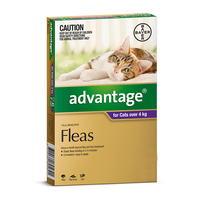 Advantage For Cats Over 4kg Purple