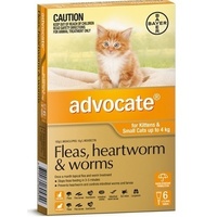 Advocate For Kitten & Cats Upto 4kg Orange