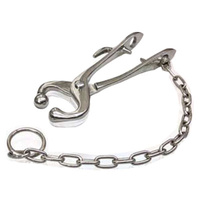 Bull Holders With Chain S/S