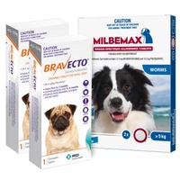Bravecto Orange  For Small  Dogs 4.5-10kg x 2 Chew (Note 2 boxes x 1 Chew )+ Milbemax large dog x 2 LARGE tabs 
