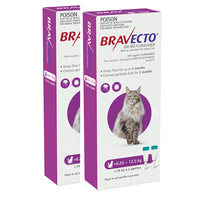 Bravecto Spot On - Purple - Large Cats 6.25-12.5kg x 4 Pipettes (Note 2 Boxes x 2 Pipettes )