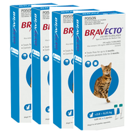 Bravecto Spot On - Blue - Medium Cats 2.8-6.25kg x 8 Pipettes (4 Boxes x 2 Pipettes)