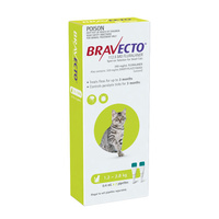 Bravecto Spot On - Green - Small Cats 1.2-2.8kg x 2 Pipettes