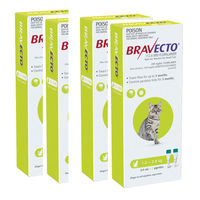 Bravecto Spot On - Green - Small Cats 1.2-2.8kg x 8 Pipettes (Note 4 Box x 2 Pipettes)