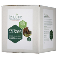 Dr Jennifer Stewart’S Calsorb Blocks