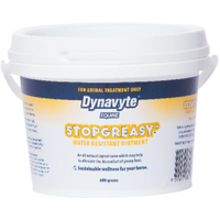 Dynavyte Stop Greasy 600gm (out of stock)