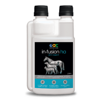 In-Fusion Ha - Hyaluronic Acid Supplement For Horses, Dogs & Cats 200ml