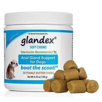 Glandex - Anal Gland Support for Dogs - Soft Peanut Butter chews 