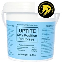 Staysound Uptite Clay Poultice