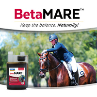 Kelato Betamare Balanced Behaviour Horses Concentrated Supplement 