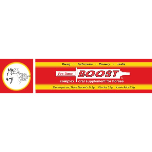 Pro-Dosa Boost Equine Trace Element & Vitamins Paste 80ml